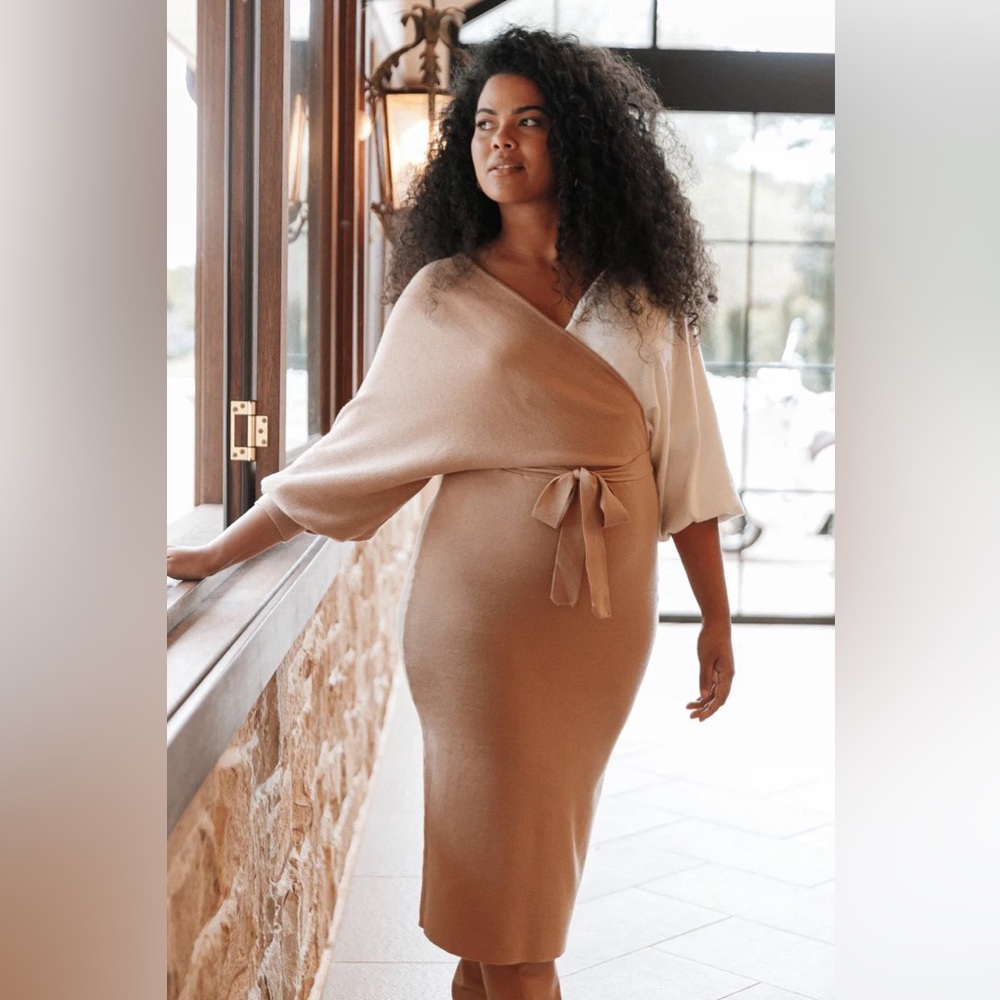 Petal & Pup Nate Wrap Sweater Dress